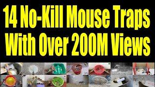 14 No-Kill Mouse Traps With Over 200,000,000 Views 🪤