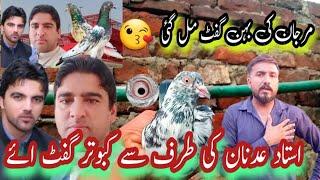 Peshawar say Parwazi kabootar gift aye  || Haider pathan pigeon club || Khokhar pigeons club