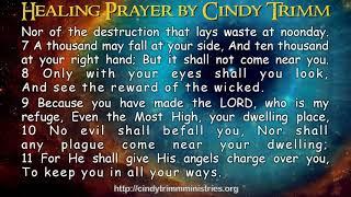 Healing Prayer by Dr  Cindy Trimm   TextVideo