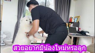 อะไรนะสวยอยากได้น้องใหม่! | ข้าวเหนียว ขี้กระโปกหมา