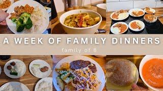 WEEK 64| FAMILY DINNERS OF THE WEEK | family of eight, evening meal ideas, meal plan