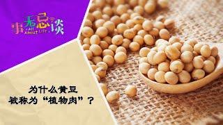 EP9 为什么黄豆被称为“植物肉”？