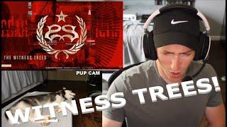 Chris REACTS to Stone Sour - Witness Trees