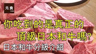 日本和牛等級介紹-你吃到的是真正的頂級和牛嗎?-元食私房料理