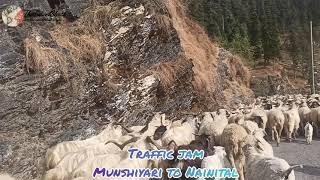 TRAFFIC JAM (MUNSHIYARI TO NAINITAL)