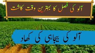 Potato farming|potato cultivation|potato sowing time /fertilizer