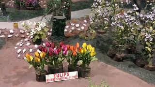 Ooty Thread Garden | World First Thread Garden