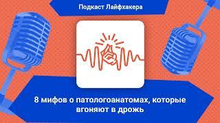 8 мифов о патологоанатомах, которые вгоняют в дрожь | Подкаст Лайфхакера