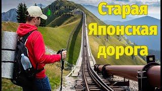 Старая Японская дорога / легкий маршрут в горах Алматы