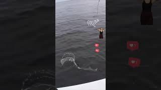 Reel Adventure: Explore Nature & Perfect Your Catch-and-Release