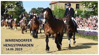 Warendorfer Hengstparade 14 09 2019 Trailer