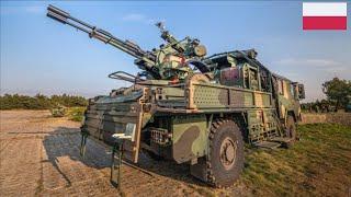 Poland introduced the PSR-A Pilica air defense system