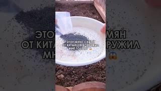  Мои соседи были в шоке, когда увидели у меня такой сад из цветов #wildberries