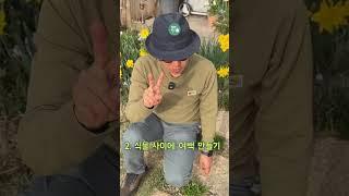 작은 땅 버리지 말고 예쁘게 만들어보세요! 정원친구 이오 #정원디자인 #정원꾸미기 #가드닝 #꿀팁