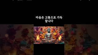 떠나간 인연에 집착하지 마라|오디오북|철학과지혜|철학의 정원 #명언 #부자의삶 #고전