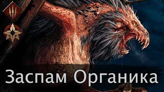 Заспам органика на Накере (Стая главоглазов) ноябрь 2024г. Гайд + бои. Патч 12.11