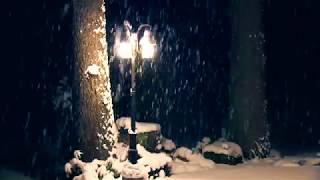 Frédéric Chopin: Nocturne in E minor, Op. posth. 72, No. 1 (Vadim Chaimovich)