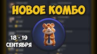 Новые КОМБО КАРТЫ в Хамстер Комбат 18 - 19 сентября! КАК ПОЛУЧИТЬ 5 МИЛЛИОНОВ МОНЕТ В HAMSTER KOMBAT