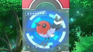 Fletchling, Fletchinder, and Talonflame Pokédex Entries..wmv