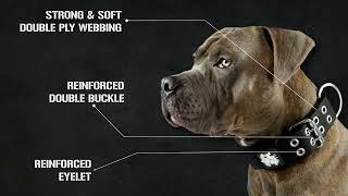 SupaTuff Heavy Duty Dog Strong Collars