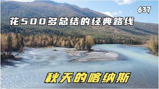 房车美景嗨游十一，情侣花500多门票，总结出喀纳斯省力游玩路线,第637期