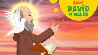 Saint David of Wales | Stories of Saints | Episode 138