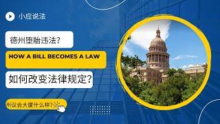 在美国如何把一个想法变成法律？法律是如何产生的？议案如何变成法律。一起去看下德州的立法机关吧！