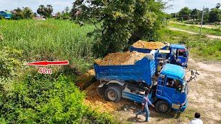 Bulldozer D20 ultimate skill pushing soil filling 40m square land with dump trucks