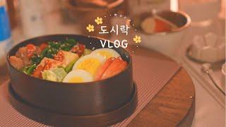 새벽에 만드는 남편 도시락 브이로그 | 나무 도시락에 만들기 | 5:30AM routine