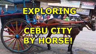 DISCOVER CEBU CITY!  WALKING TOUR & HORSE & CARRIAGE RIDES!