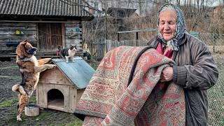 Nenek 85 Tahun di Carpathians - Pembersihan Musim Semi di Desa