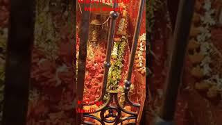 bhatauli Durga Mata Mandir#bhaktisong #shortvideo #my blog
