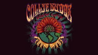 Collie Buddz - Show Love