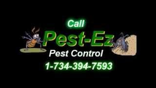 Livonia Michigan Pest Control And Wildlife Management Pest-Ez