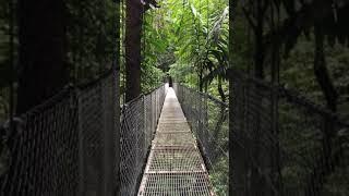 Mistico Arenal Hanging Bridges Park La Fortuna Costa Rica