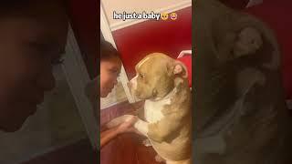 #funny #animlasfunny #funnypets #pets #funnyanimlas #shortvideo #funnydogs #shorts