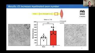 AAHS/ASPN Combined CME Webinar: Electrical Stimulation and Nerve Wrapping in Nerve Injuries