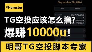 如何用脚本赚到第一个10000u？为什么说TG空投一定要用脚本来做？一定要看到最后！#空投教程 #空投 #airdropcrypto #airdrop #仓鼠游戏 #hamsterkombat