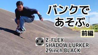 Z-FLEXでバンク遊び【F/S編】