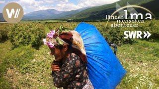 Bulgarien | Lebenskünstler im Land der Rosen - Länder Menschen Abenteuer (SWR)