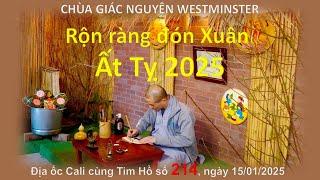 214 GIÁC NGUYÊN TỰ RỘN RÀNG ĐÓN XUÂN ẤT TỴ.