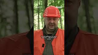 Понад 700 гектарів лісу пошкодив буревій на Рівненщині #shorts