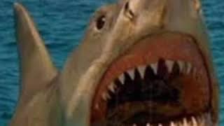 (Jaws 4: The Revenge 1987) The Shark's Roar  