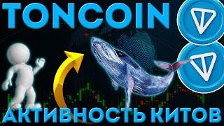 АКТИВНОСТЬ TONCOIN КИТОВ РАСТЁТ! ПАМП ТОН??! - ТОНКОИН НОВОСТИ