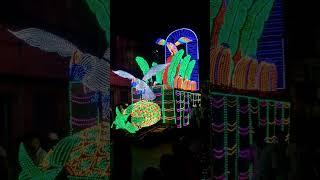 Chandannagar Jagadhatri Puja 2024 -  Procession Light #CJP