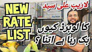 New Rate List | Laraib ali syed ka lovebirds q itna bikta h ? season start ho rha h 2025