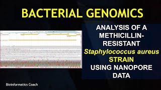 Whole Genome Sequence Analysis | Bacterial Genome Analysis | Staphylococcus Aureus