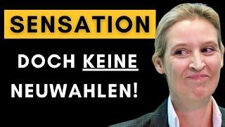 180-Grad-Wende: Darum rettet die AfD Olaf Scholz bei Vertrauensfrage!