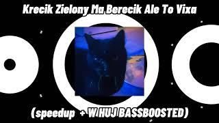 Krecik Zielony Ma Berecik Ale To Vixa (speedup + W HUJ BASSBOOSTED)