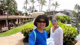 Big Island 2019